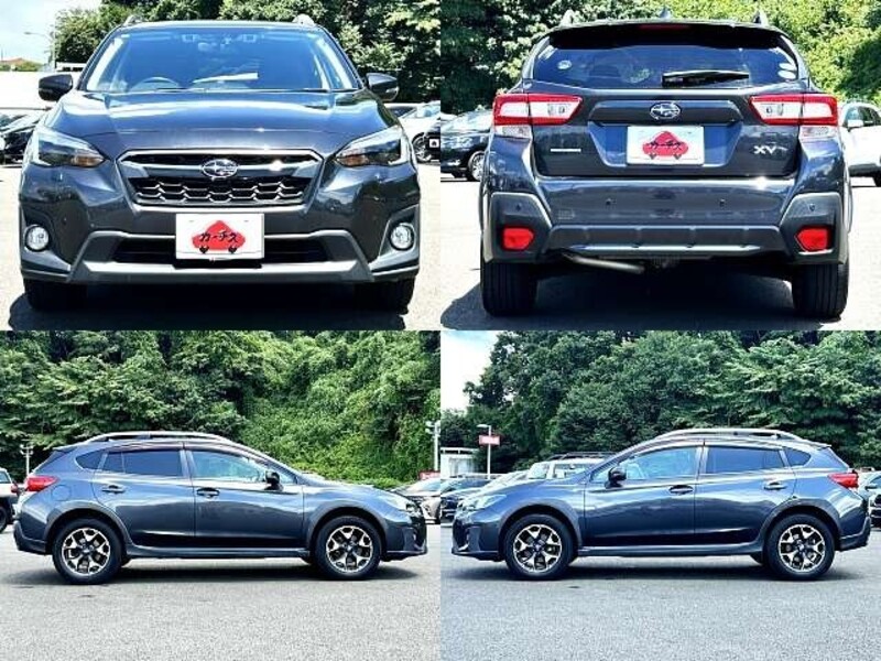 XV