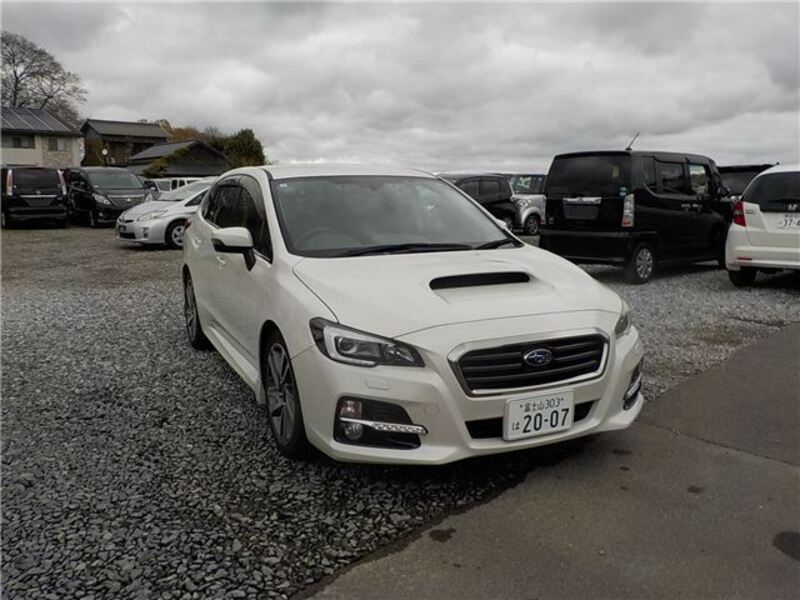 LEVORG-0