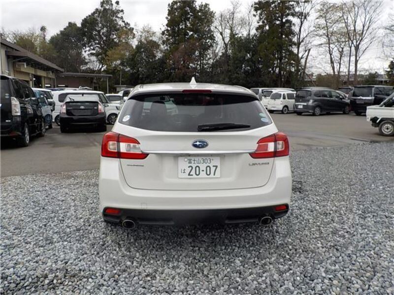 LEVORG