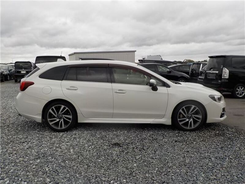 LEVORG