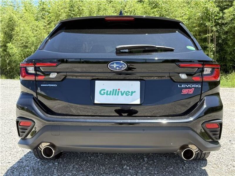 LEVORG