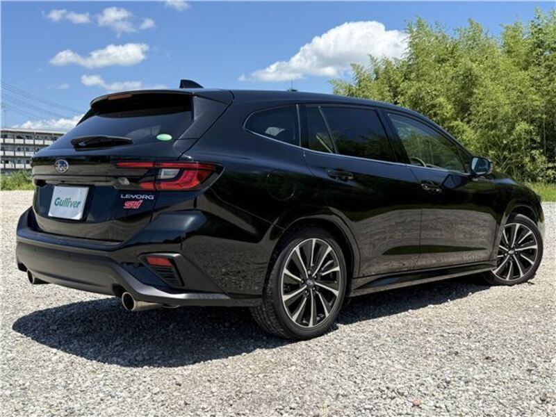 LEVORG