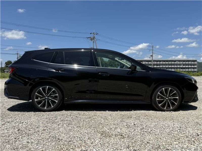 LEVORG