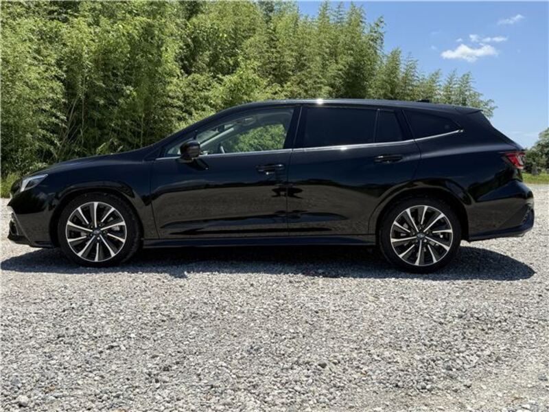 LEVORG