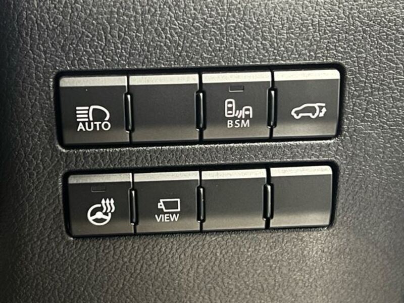 NX