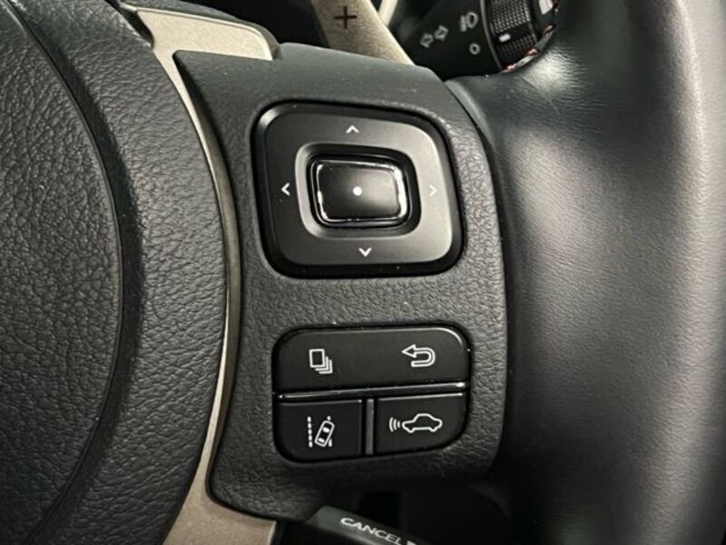 NX
