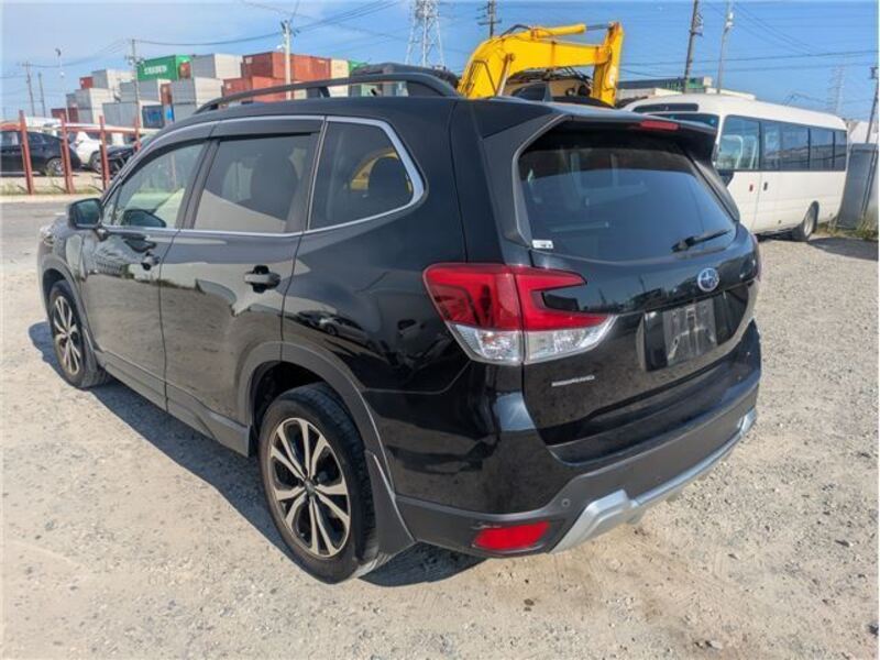 FORESTER