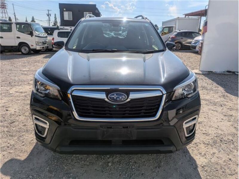 FORESTER