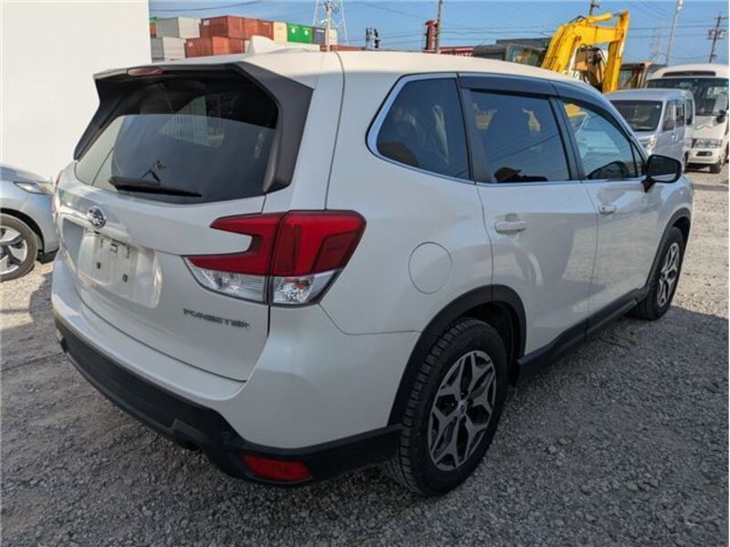 FORESTER