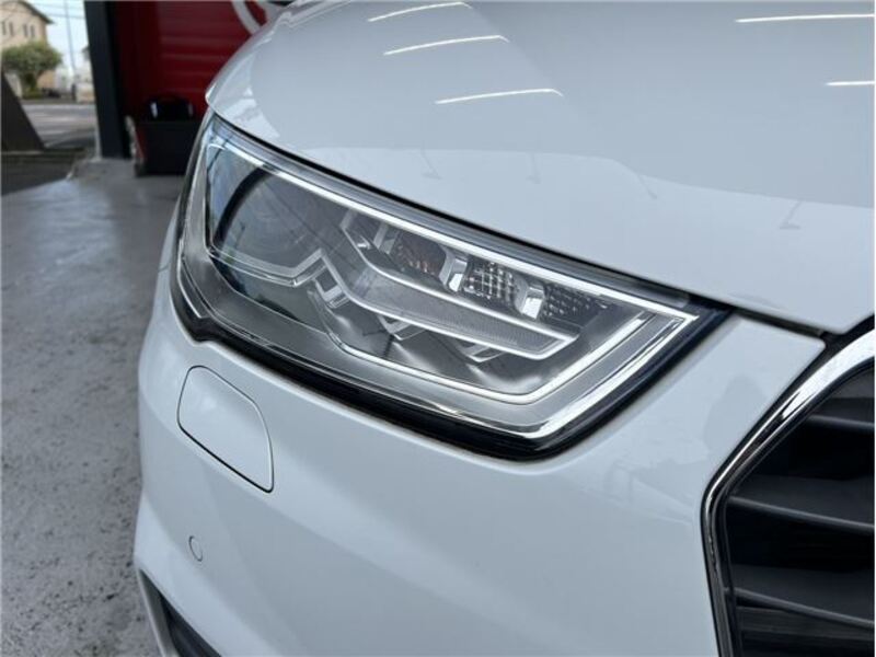 A1