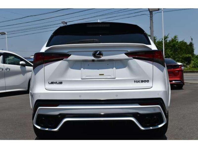 NX