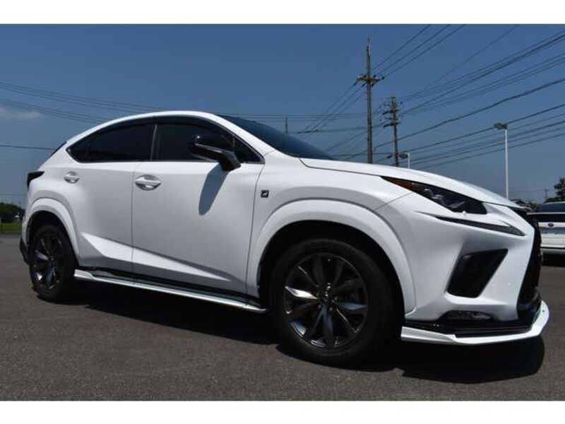 NX
