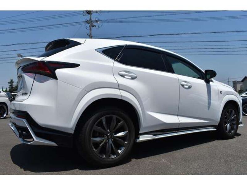 NX