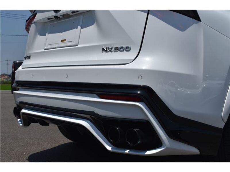 NX