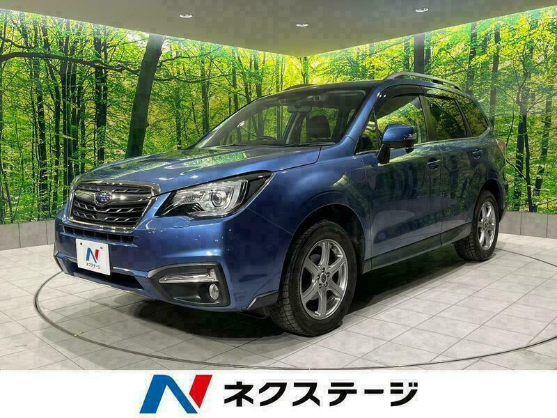 FORESTER-41