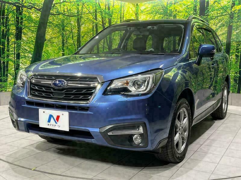 FORESTER-39