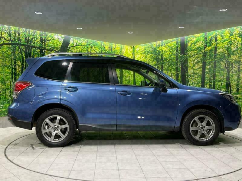 FORESTER-27