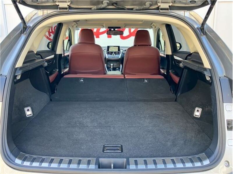 NX