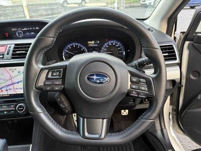 LEVORG