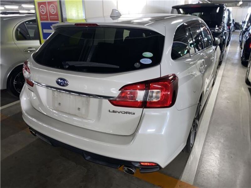 LEVORG