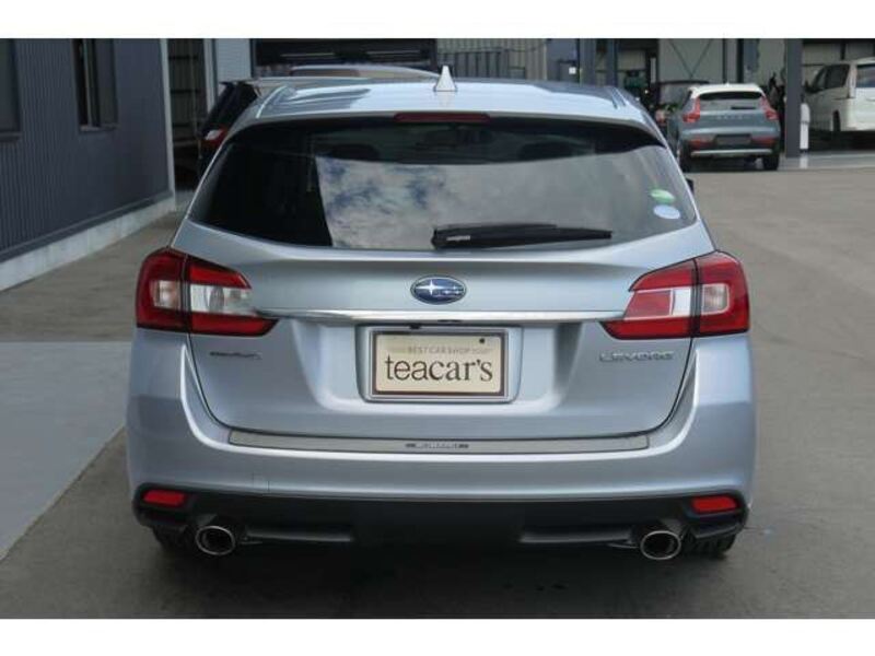 LEVORG