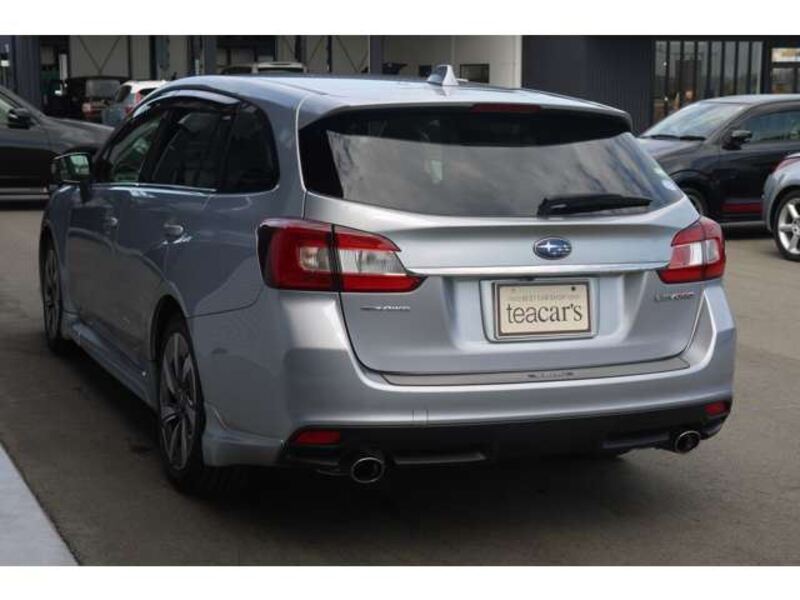 LEVORG