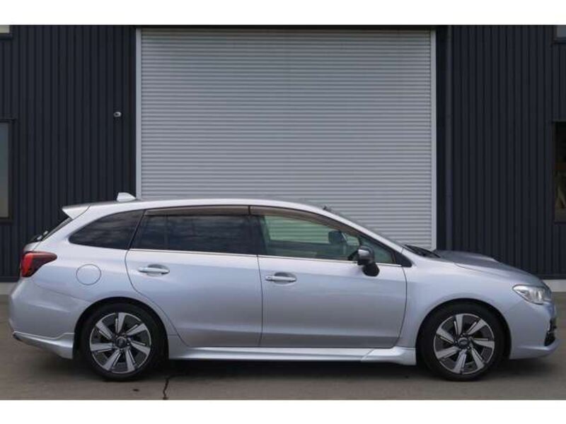 LEVORG