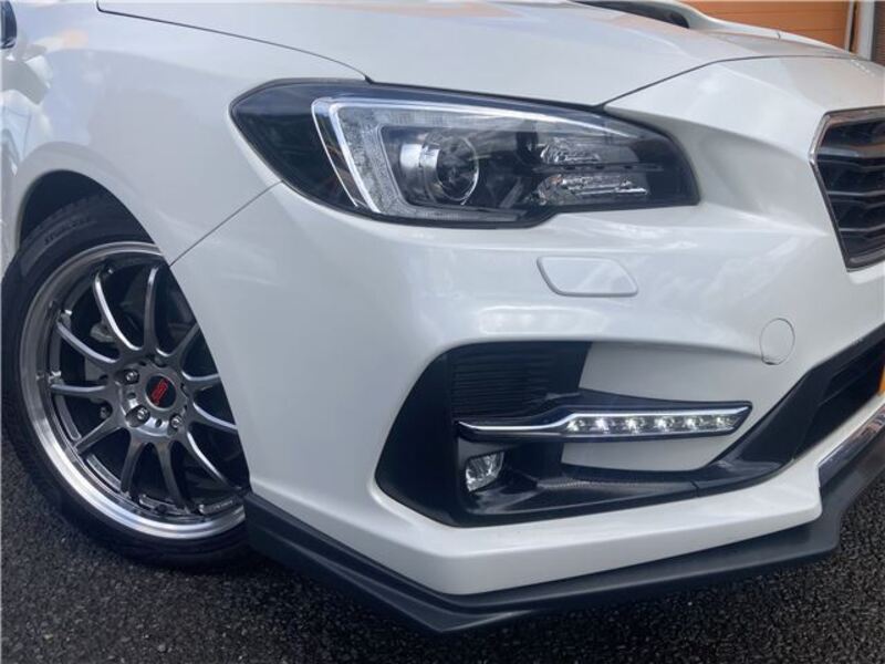 LEVORG