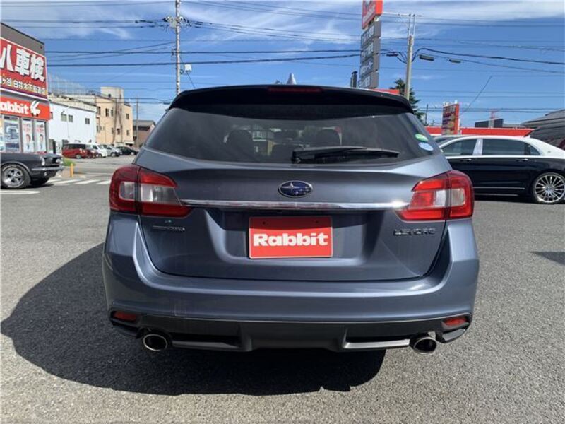 LEVORG