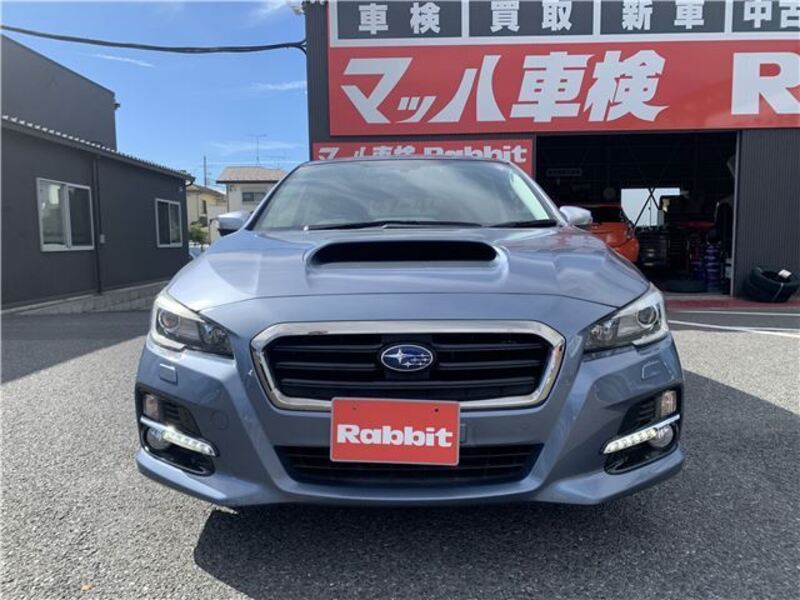 LEVORG