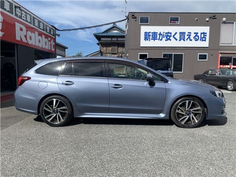 LEVORG