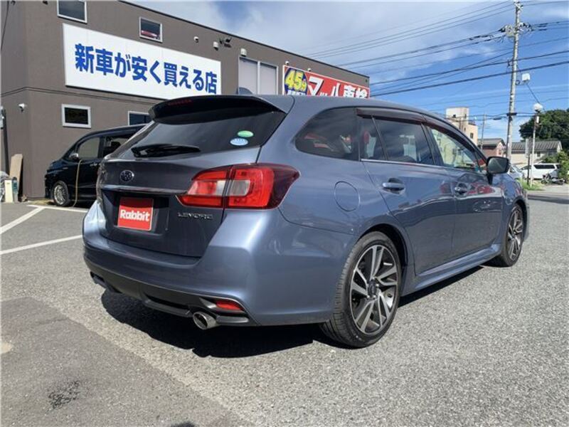 LEVORG