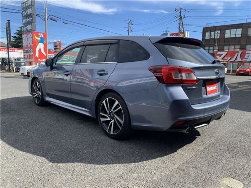 LEVORG