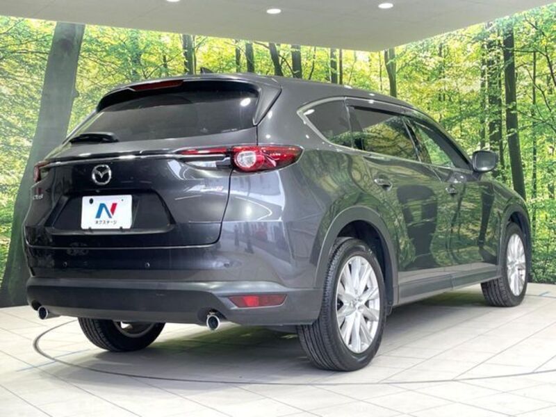 CX-8