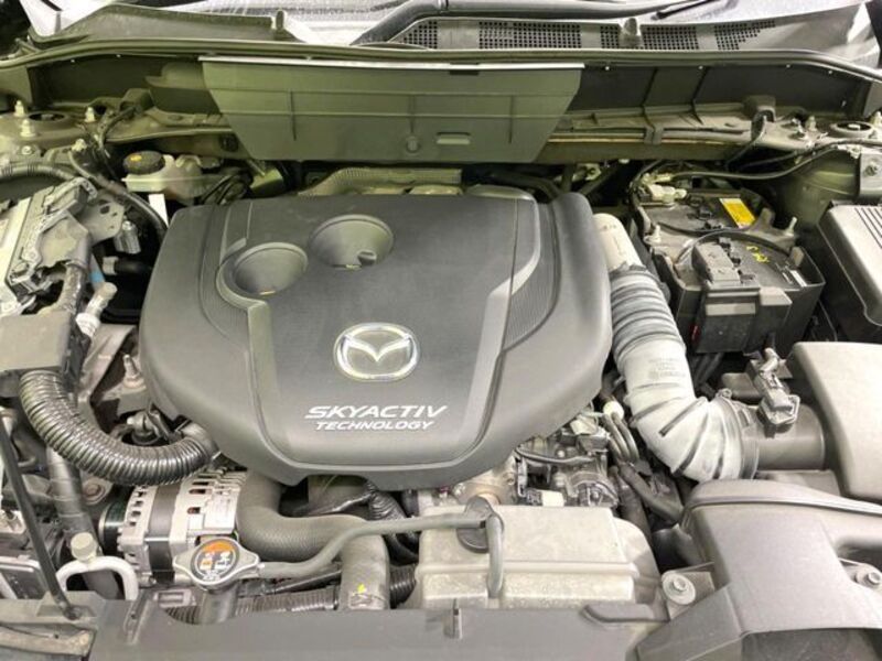 CX-8