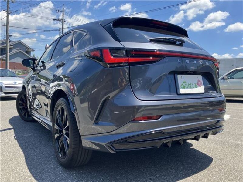 NX