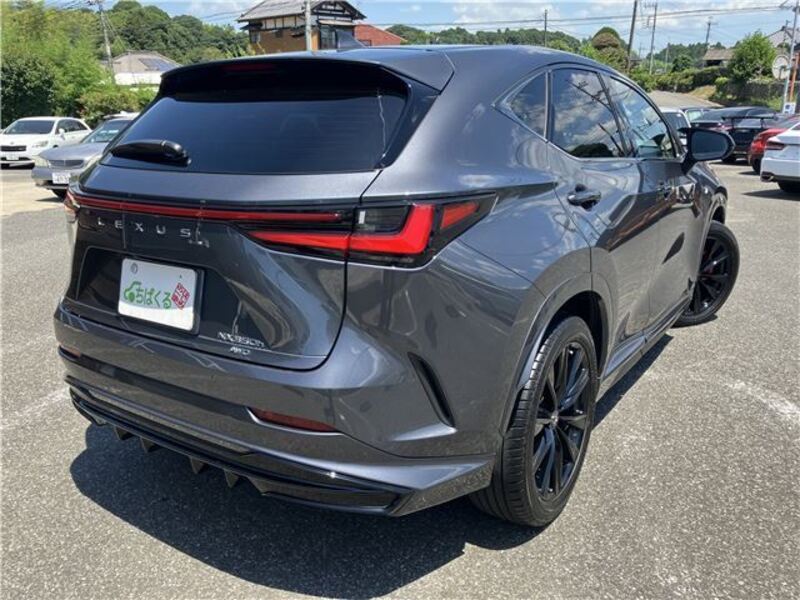 NX