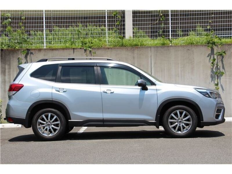 FORESTER