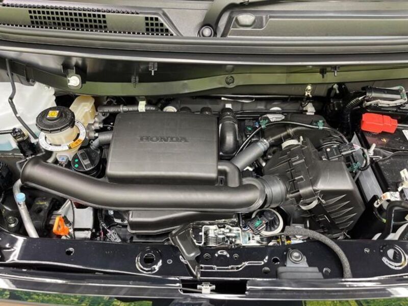 N-VAN