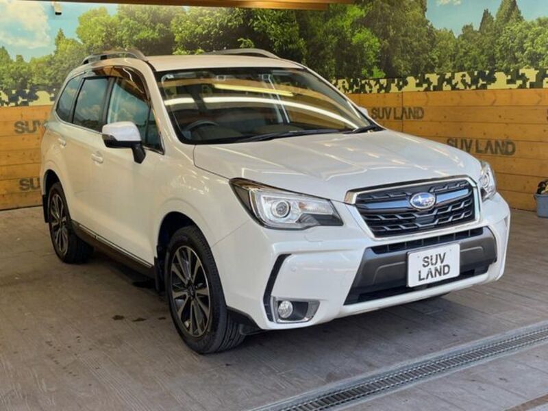 FORESTER