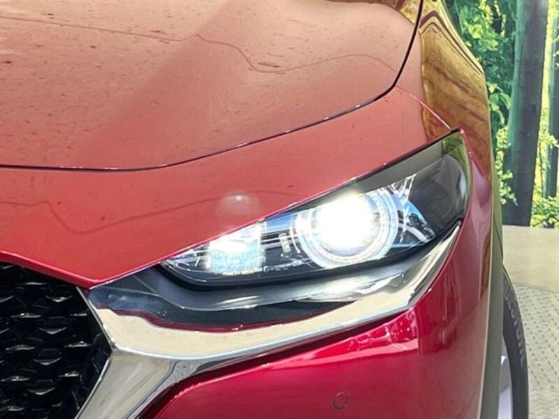 CX-30