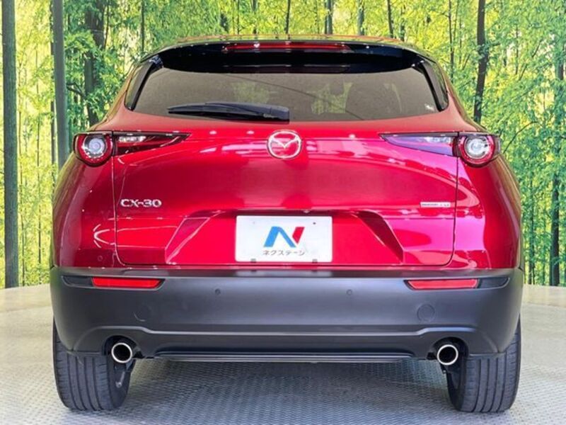 CX-30