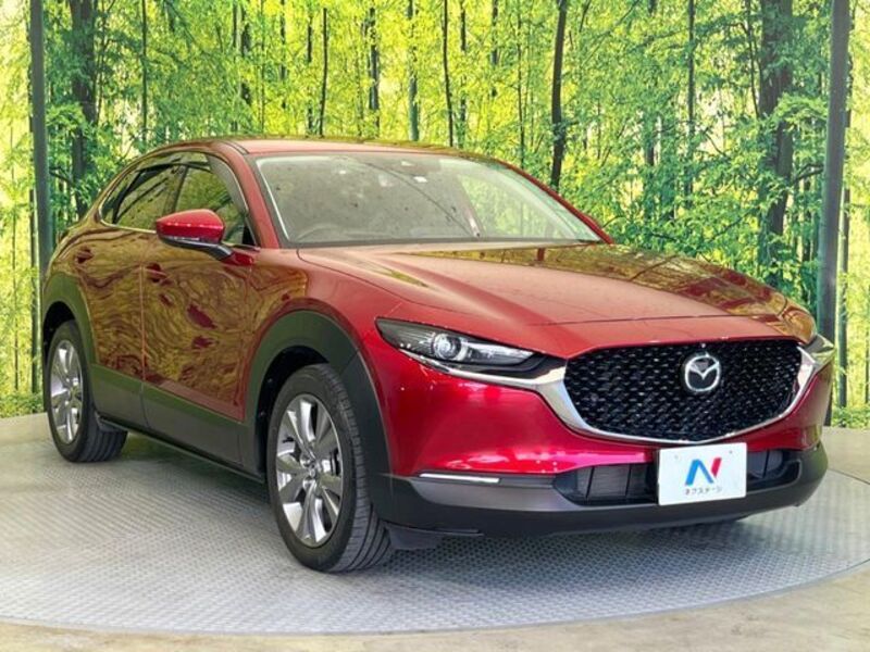 CX-30