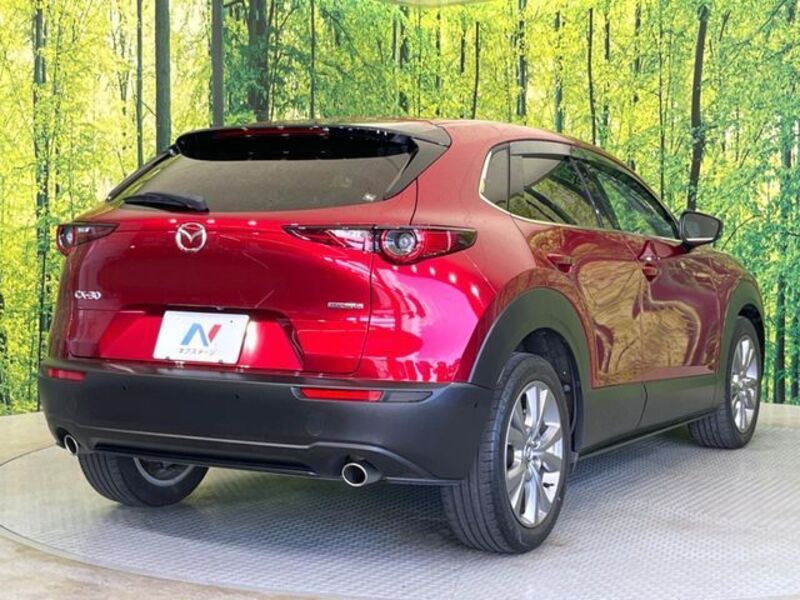 CX-30