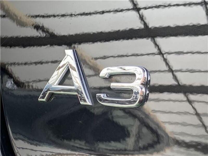 A3