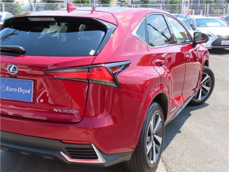 NX