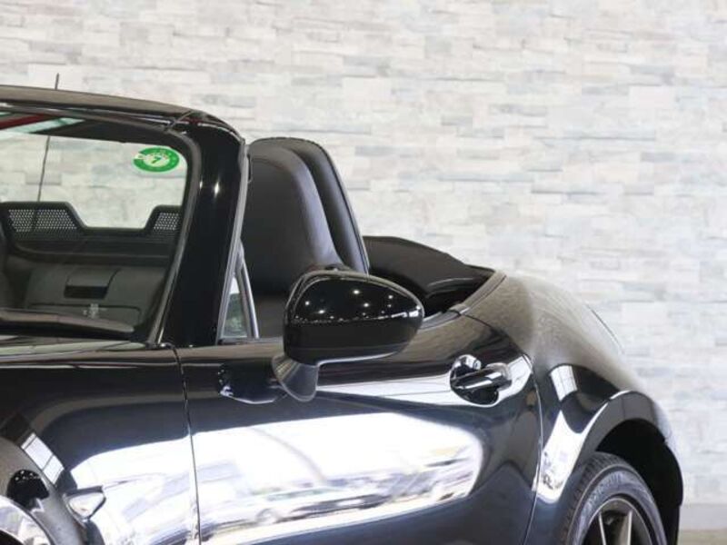 ROADSTER