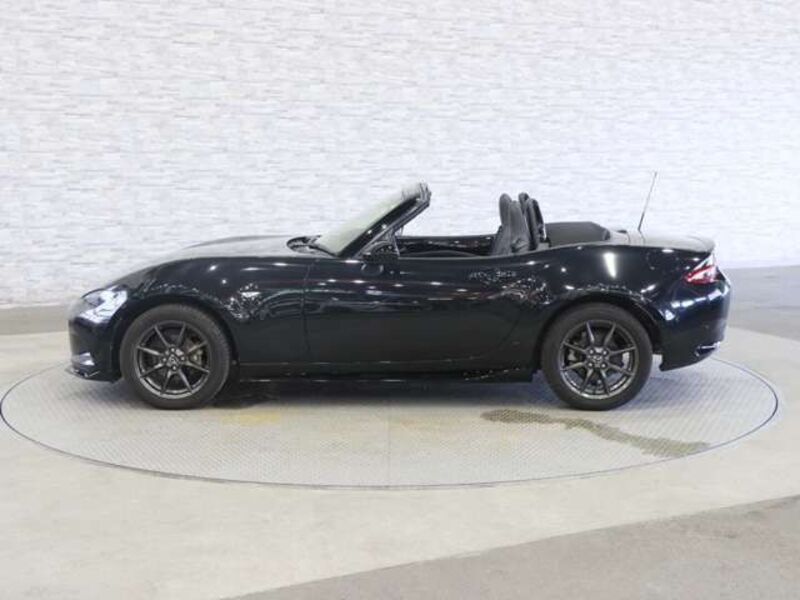 ROADSTER