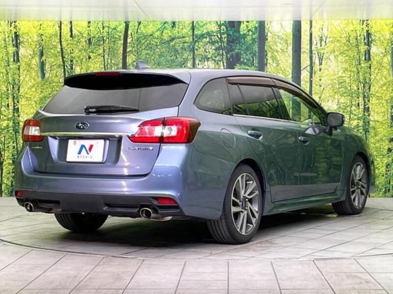 LEVORG