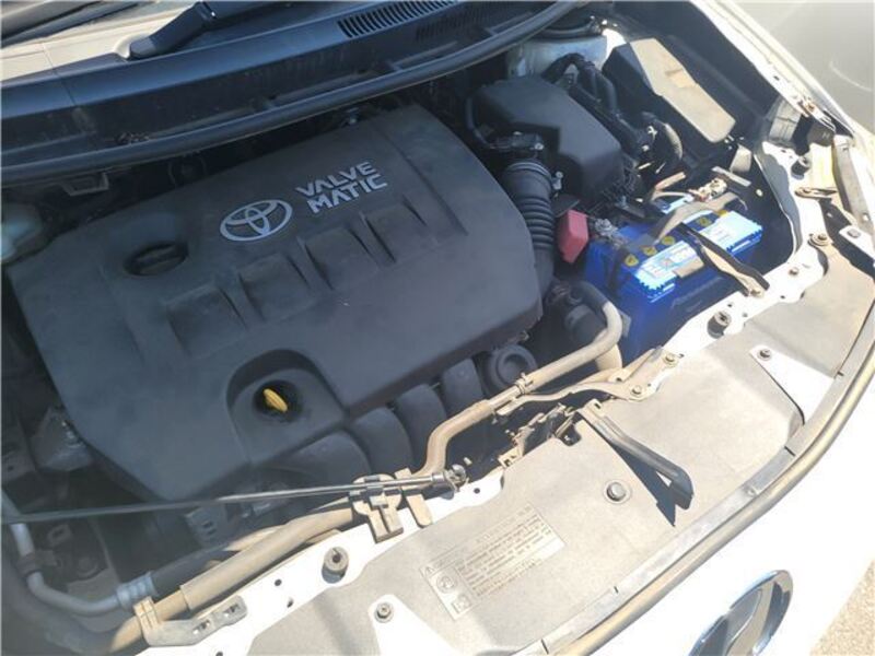AURIS